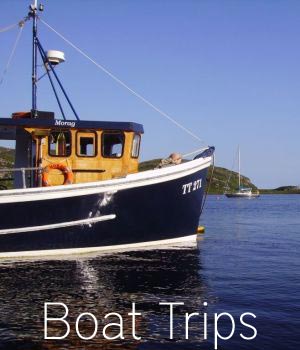 Boat Trips